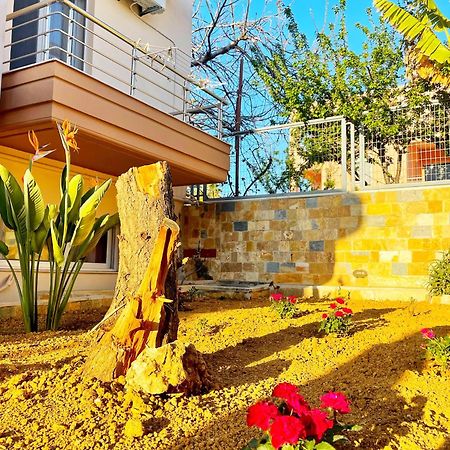 Glaros Beach Apartment Kato Daratso Exterior foto